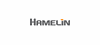 HAMELIN GmbH